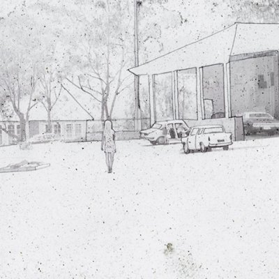 Pine Needles - Boutographies [FR]
